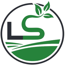 LS Theam Logo